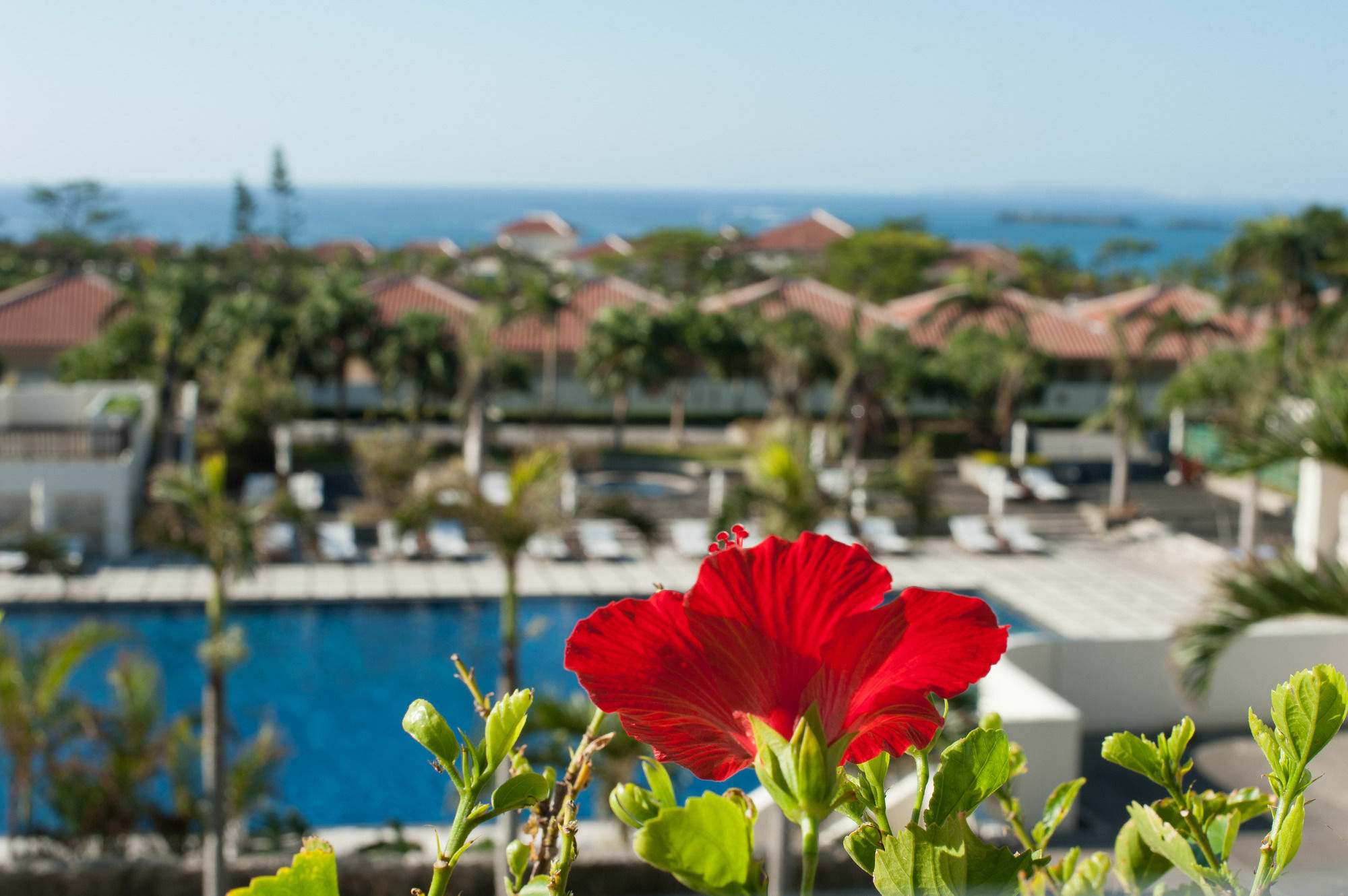 Kanucha Bay Hotel&Villas Nago Exterior foto